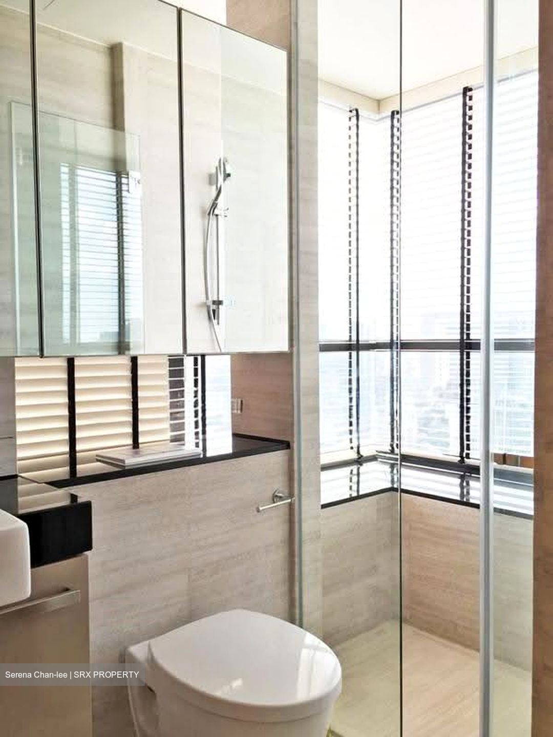 Cityscape @ Farrer Park (D8), Condominium #629818531